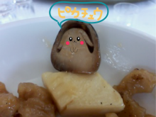 20100221_10.png