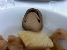 20100221_9.jpg